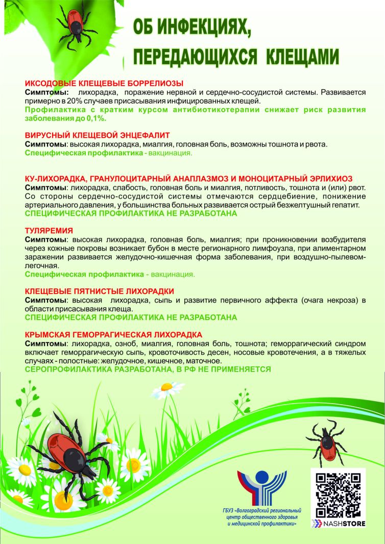 клещи-3-scaled_5770e.jpg