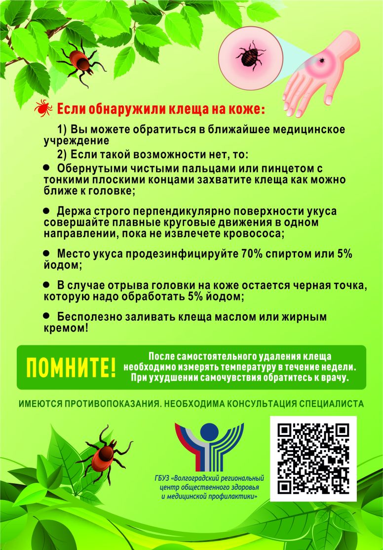 как-защититься-от-клеща-оборот-1_2ee4b.jpg