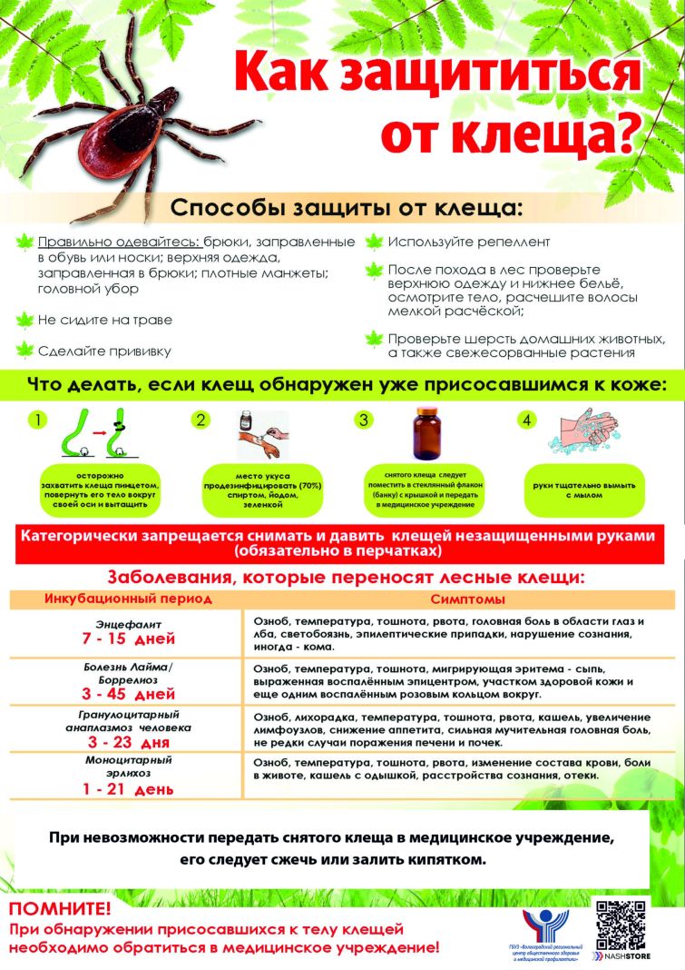клещи1-31-scaled_5959b.jpg