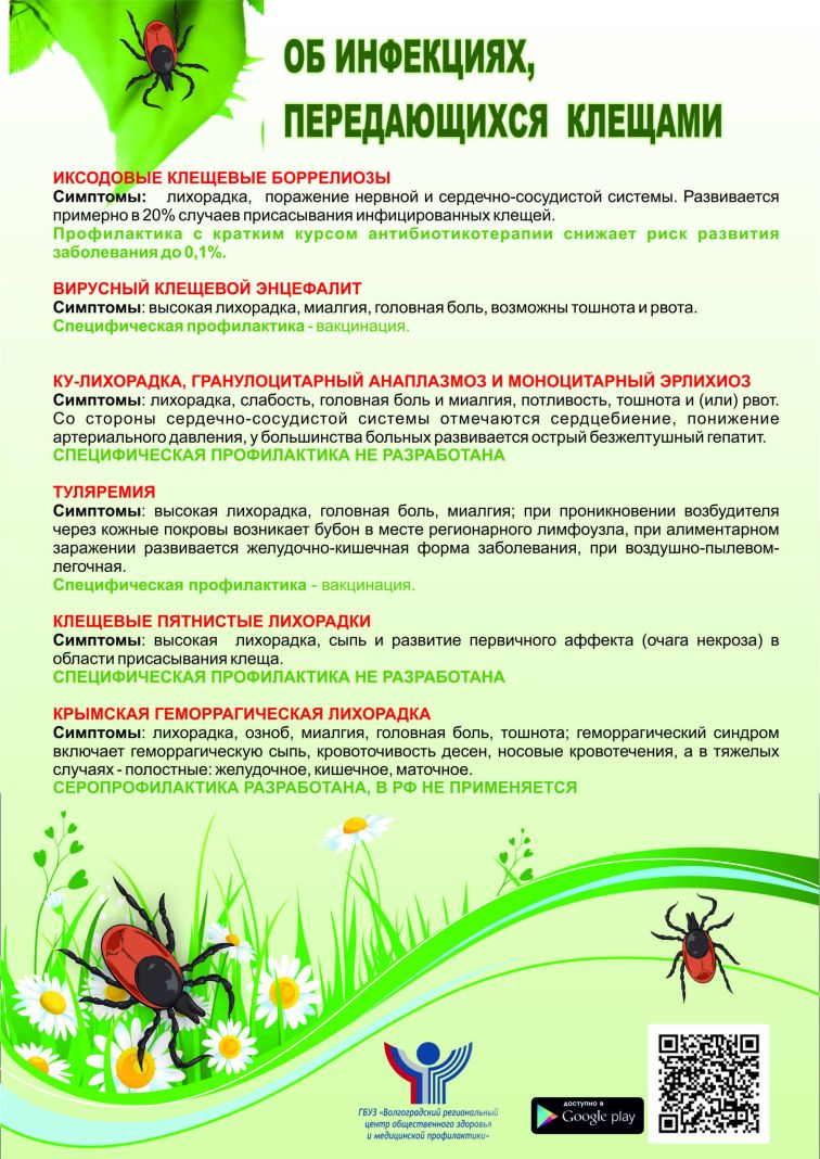 клещ-нов1-scaled_de00e.jpg